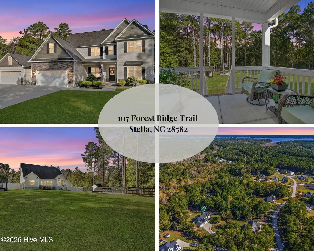 107 Forest Ridge Trail, Stella, NC 28582 - #1