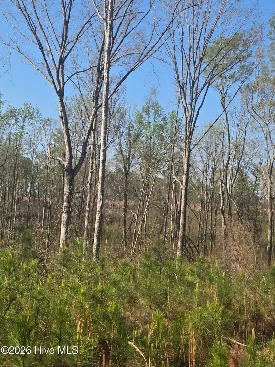 0 Mercier Road, Lincolnton, GA 30817 - #3