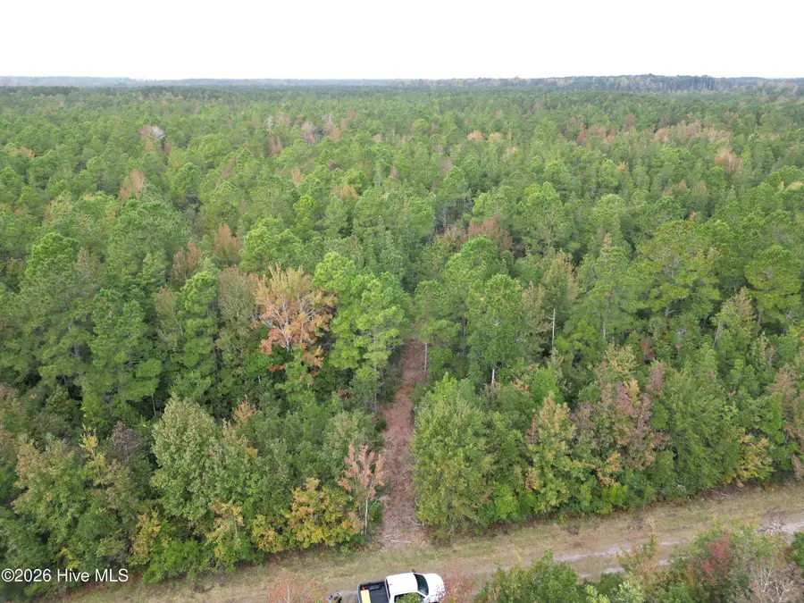 Tract #4c Straight Road, Merritt, NC 28556 - #2