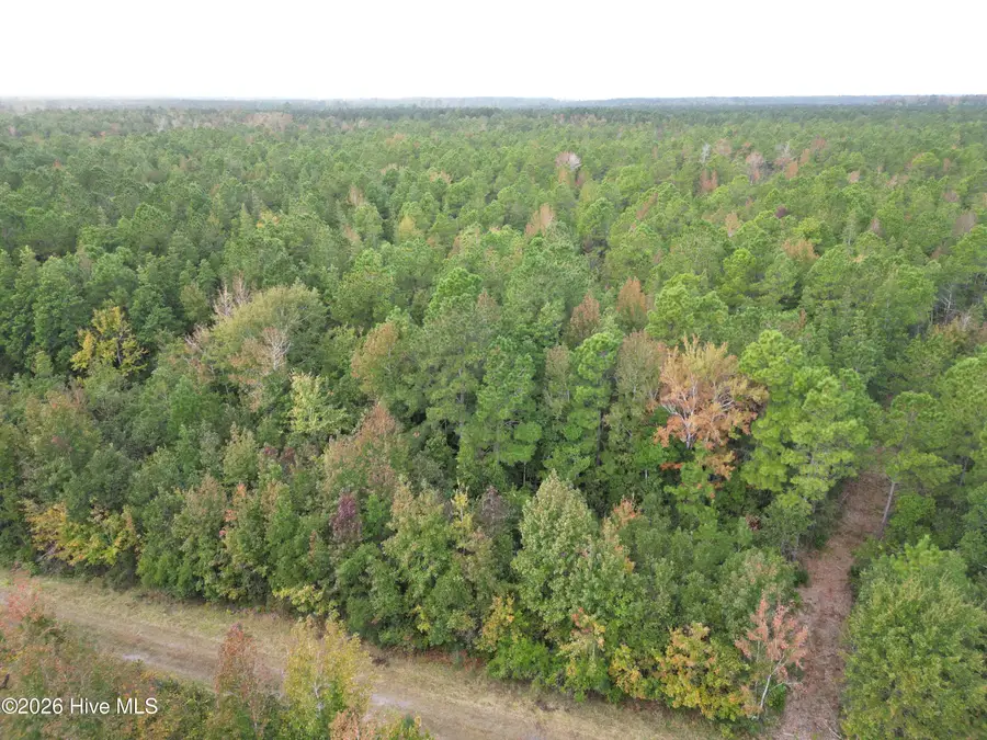 Tract #4c Straight Road, Merritt, NC 28556 - #3