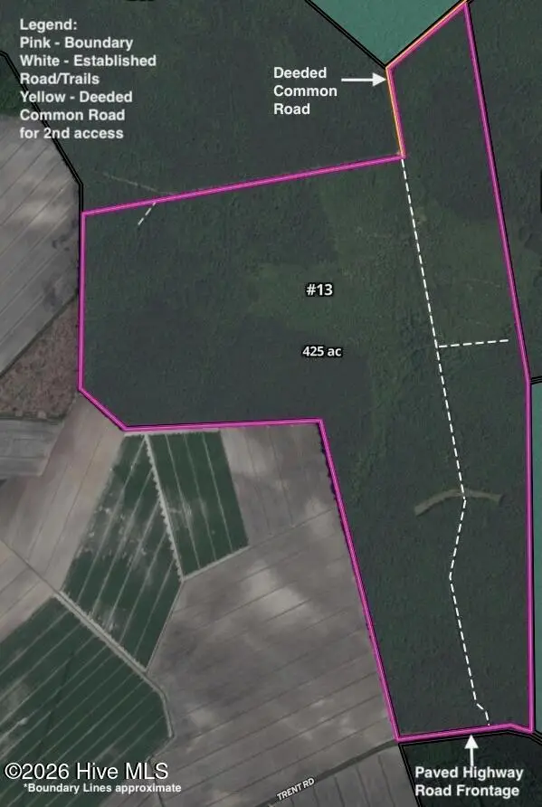 Tract #13 N Trent Road, Merritt, NC 28556 - #1