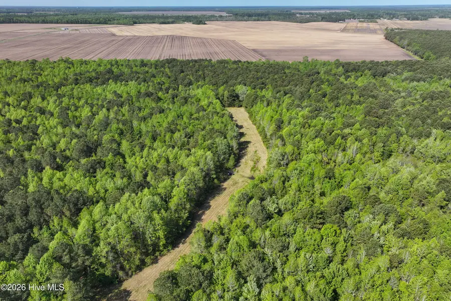 Tract #13 N Trent Road, Merritt, NC 28556 - #2