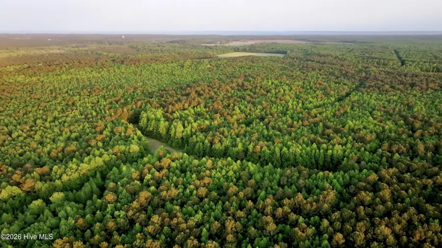 Tract #13 N Trent Road, Merritt, NC 28556 - #3