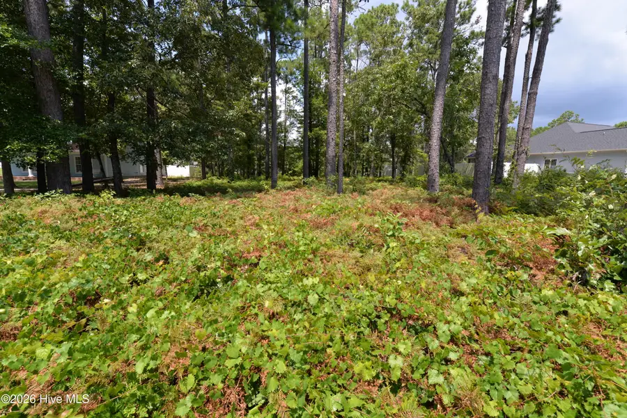 3157 Channel Drive Se, Bolivia, NC 28422 - #3