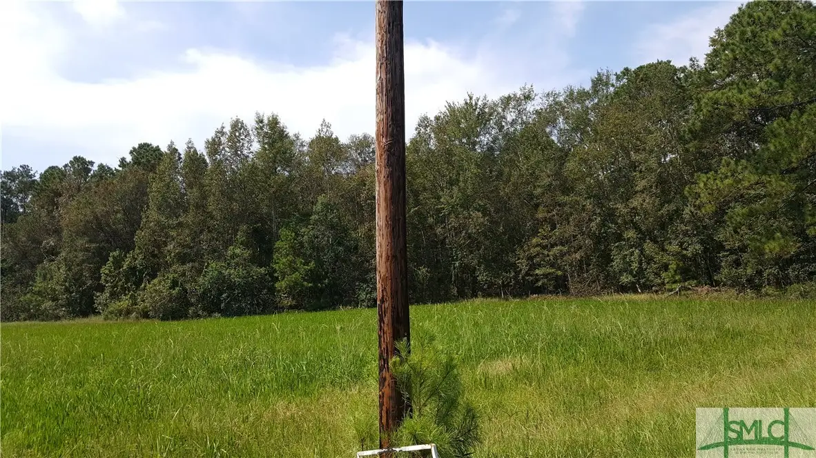 lot 2 Frazier Drive, Riceboro, GA 31323 - #1