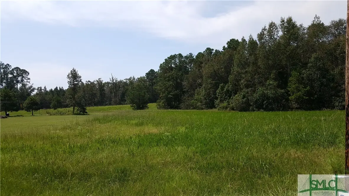 lot 1 Frazier Drive, Riceboro, GA 31323 - #1