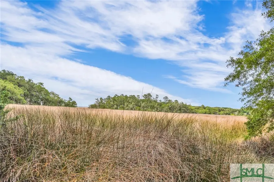 LOT 1 Retreat Lane Ne, Townsend, GA 31331 - Image #3