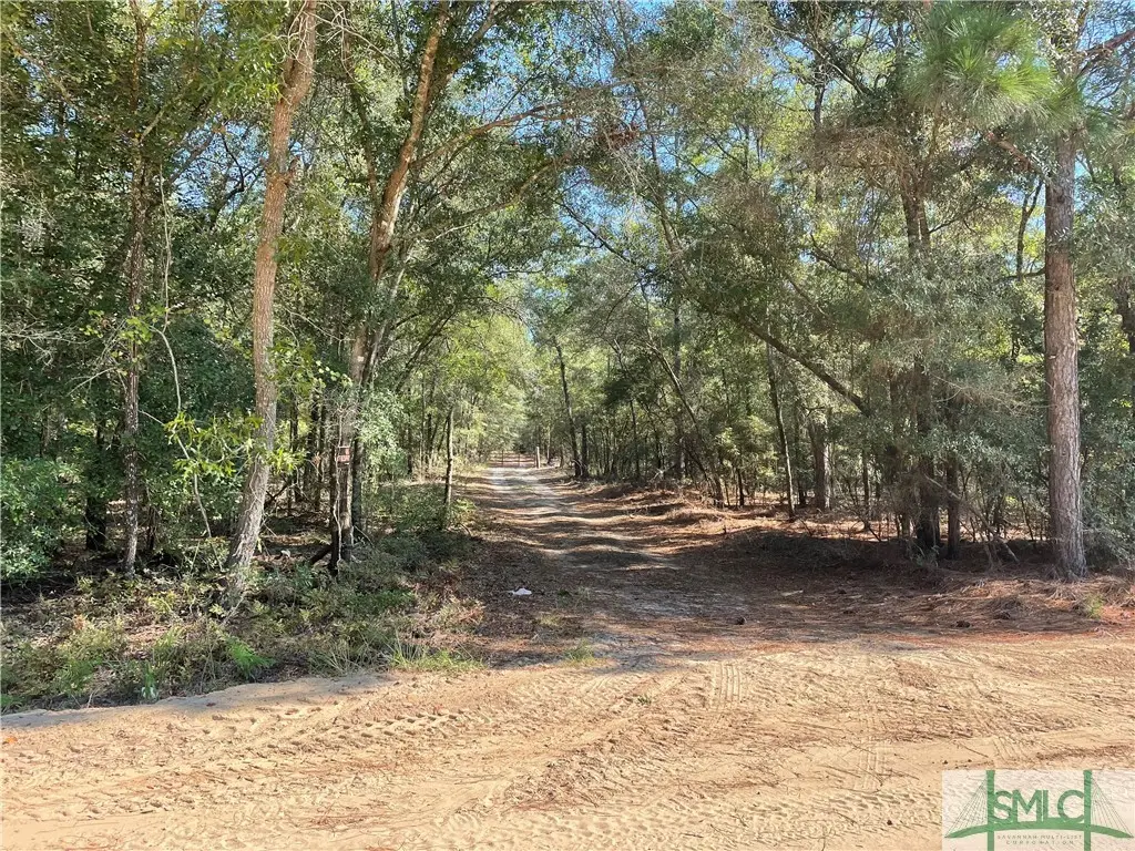 0 Old Augusta Road, Clyo, GA 31303 - Image #1