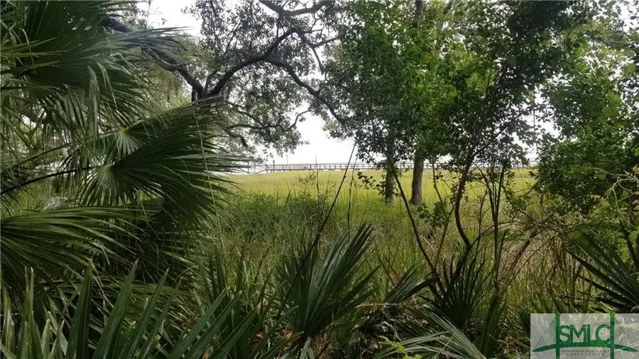 Lot 1 Belvedere Drive, Townsend, GA 31331 - Image #3