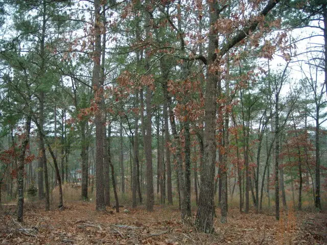 171 Lady Banks Road, Aiken, SC 29803 - Image #1