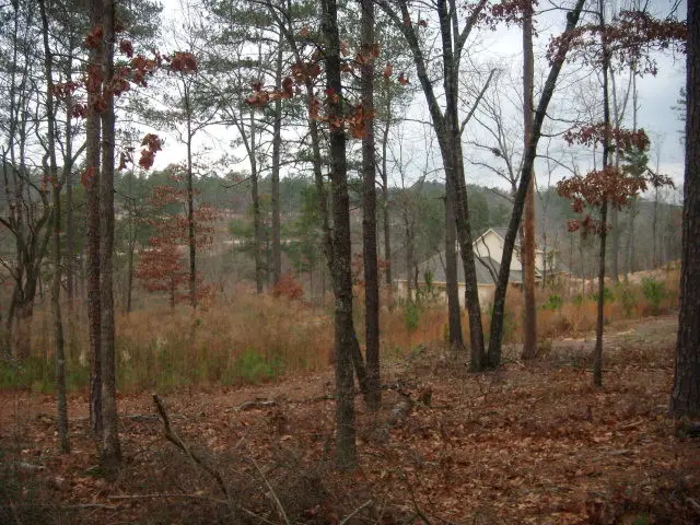 171 Lady Banks Road, Aiken, SC 29803 - Image #3