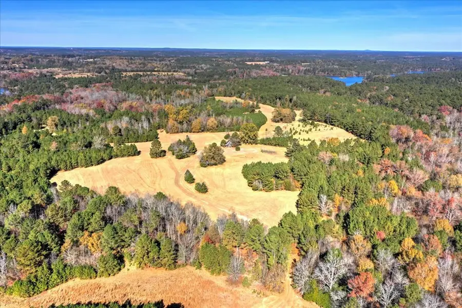 144.56 AC Ben Lane, Lincolnton, GA 30817 - Image #3