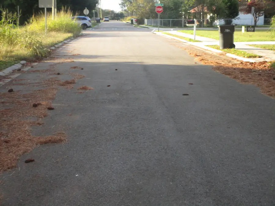 503 Dupont Street, Augusta, GA 30901 - Image #2