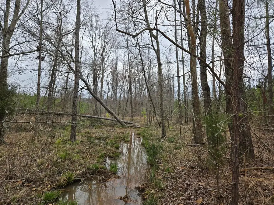 0 Elberton Hwy, Lincolnton, GA 30817 - Image #3