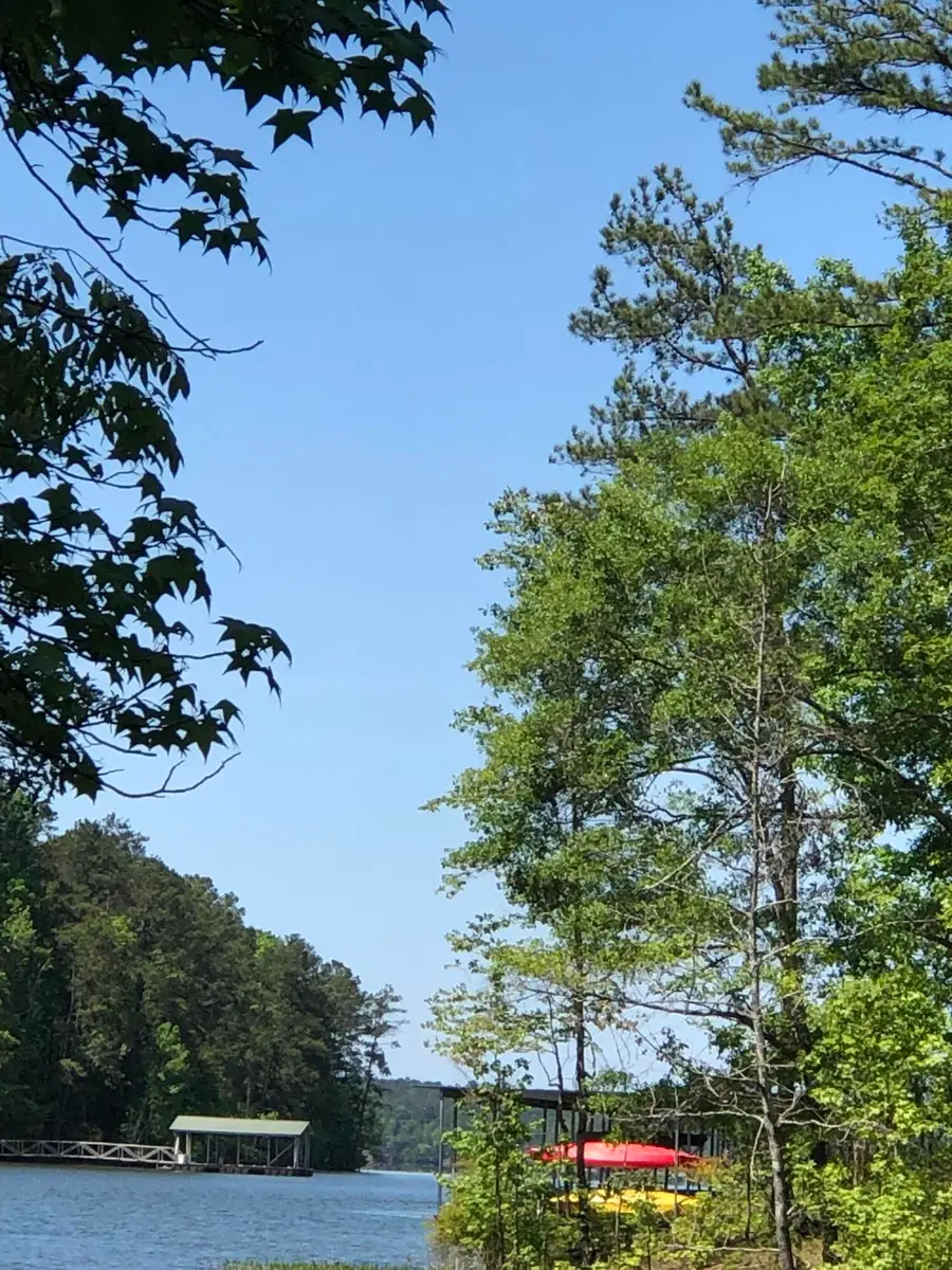 LOT 3 C Lighthouse Pointe, Lincolnton, GA 30817 - Image #3