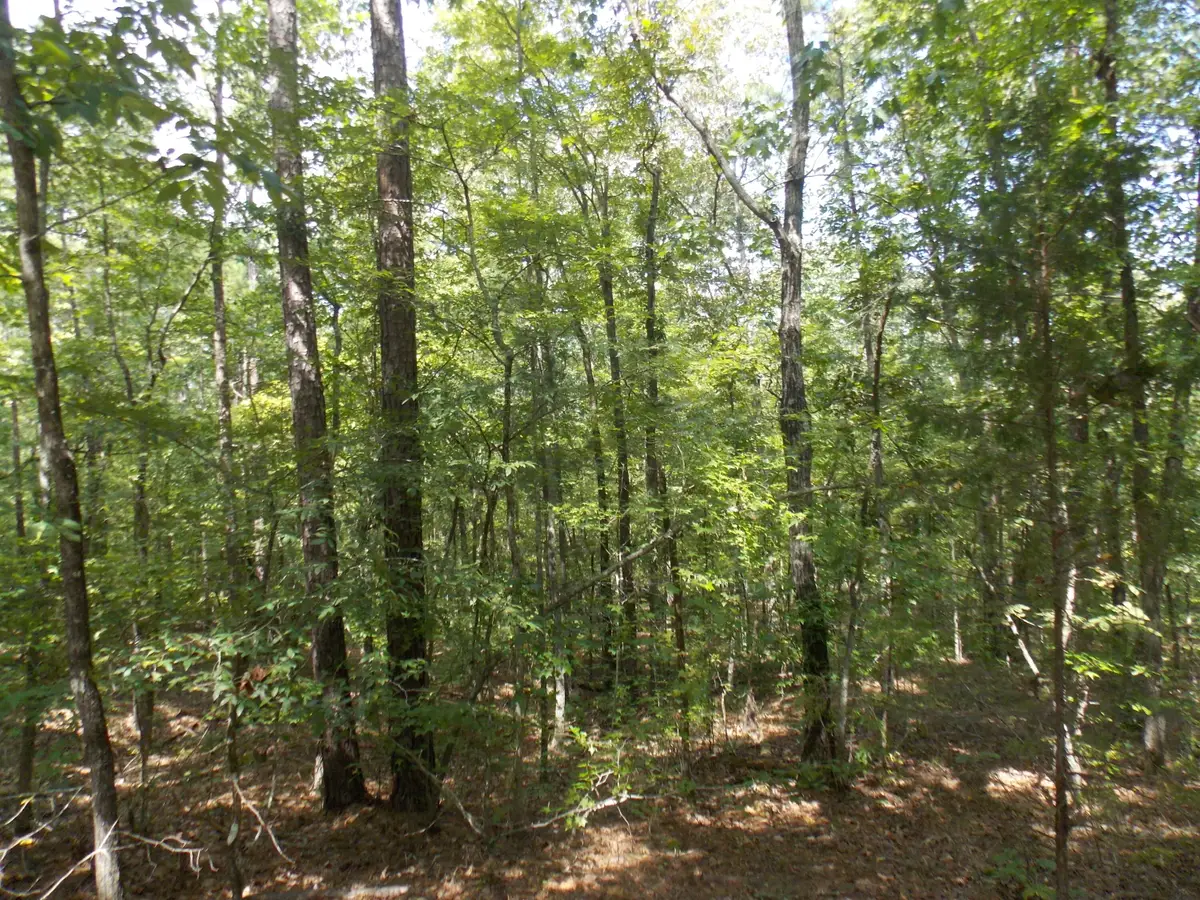 11 Doe Run, Lincolnton, GA 30817 - Image #1