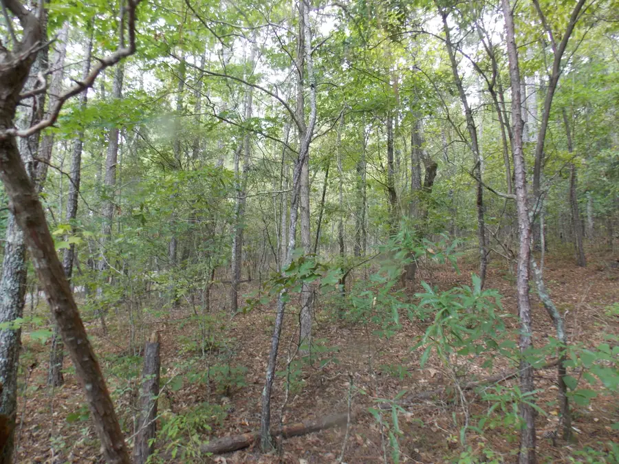 11 Doe Run, Lincolnton, GA 30817 - Image #3