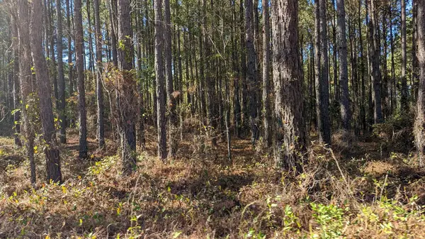 541 Bent Knee Road, Keysville, GA 30816