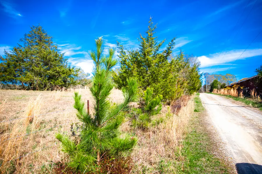 LOT 9 Mistletoe Rd, Appling, GA 30802 - Image #3