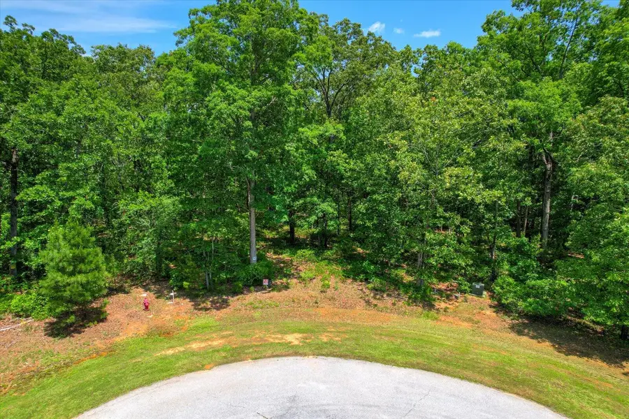 1164 Sally Ann Court, Lincolnton, GA 30817 - Image #2