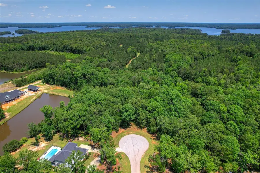 1164 Sally Ann Court, Lincolnton, GA 30817 - Image #3