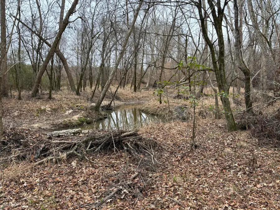 LOT 8 Black Pearl Drive, Warrenton, GA 30828 - #2