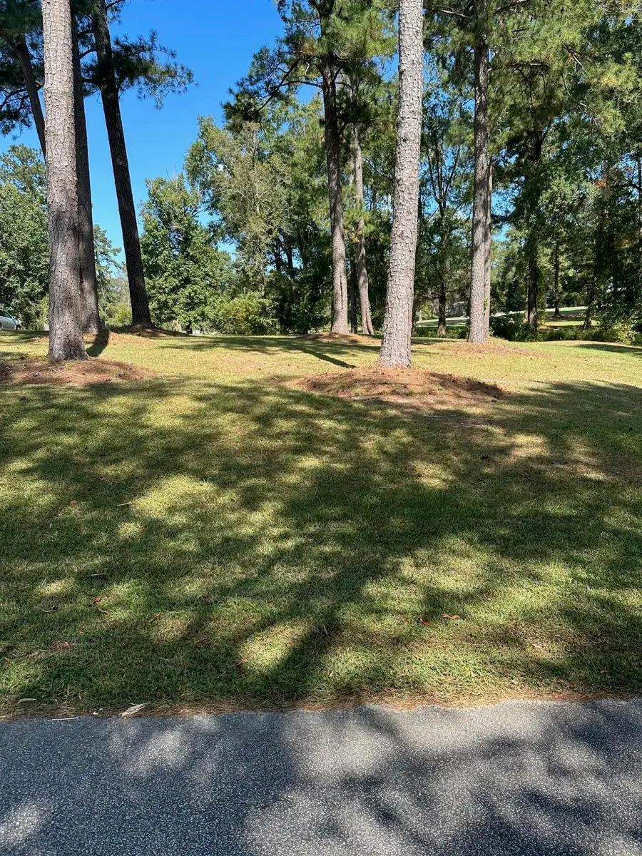000 NW South Lake Drive, Thomson, GA 30824 - Image #2