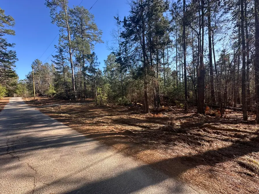 1035 Seminole Drive, Lincolnton, GA 30817 - Image #3