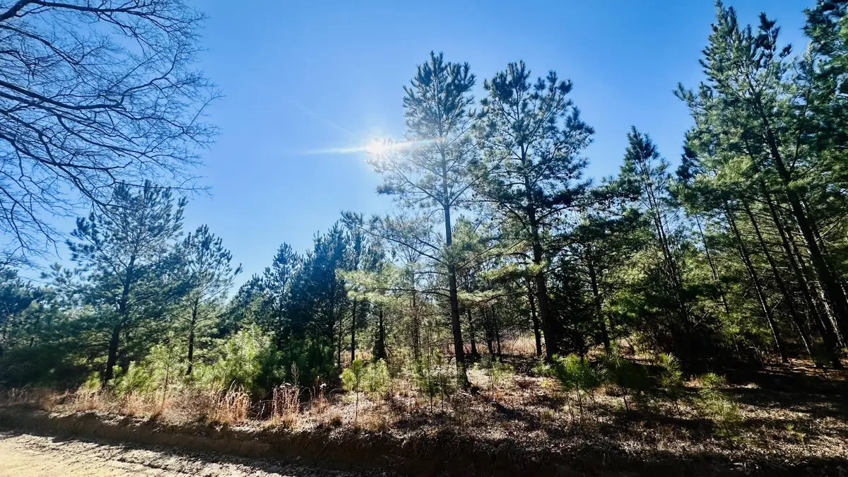 0 Loon Road, Barnwell, SC 29812 - Image #1