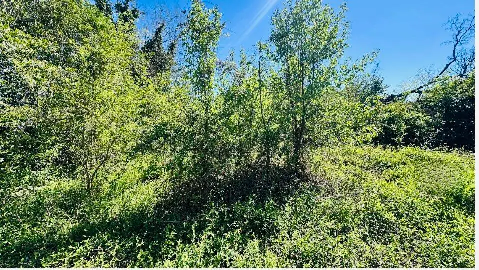 1104 Swans Lane, Augusta, GA 30901 - Image #1