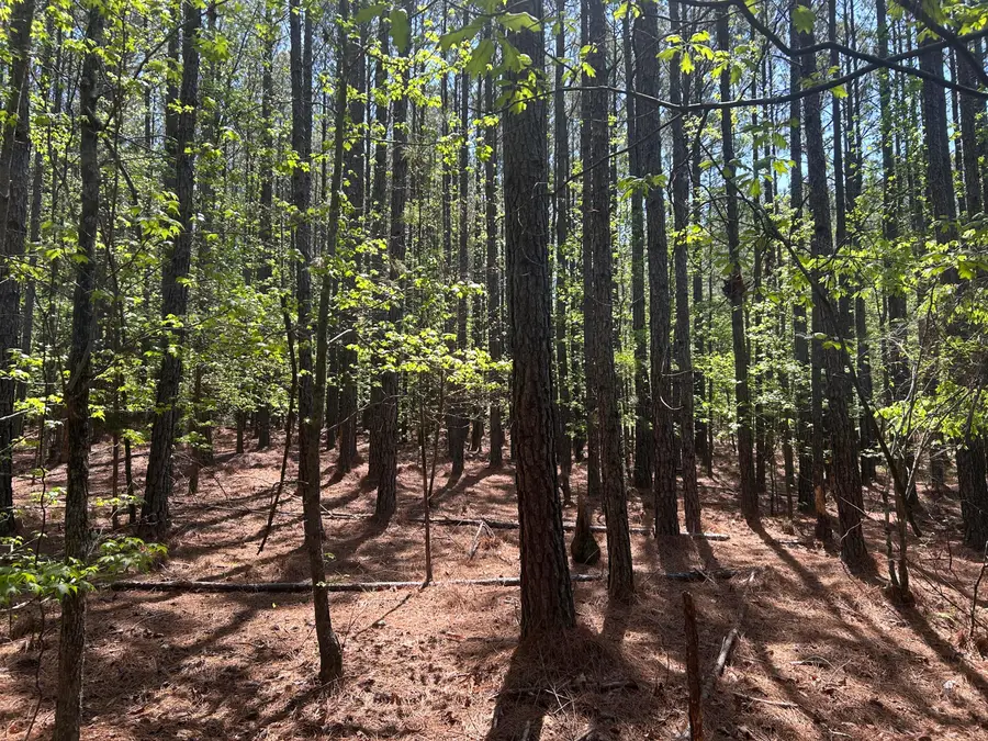 1153 Watersedge Cove, Tignall, GA 30668 - Image #2