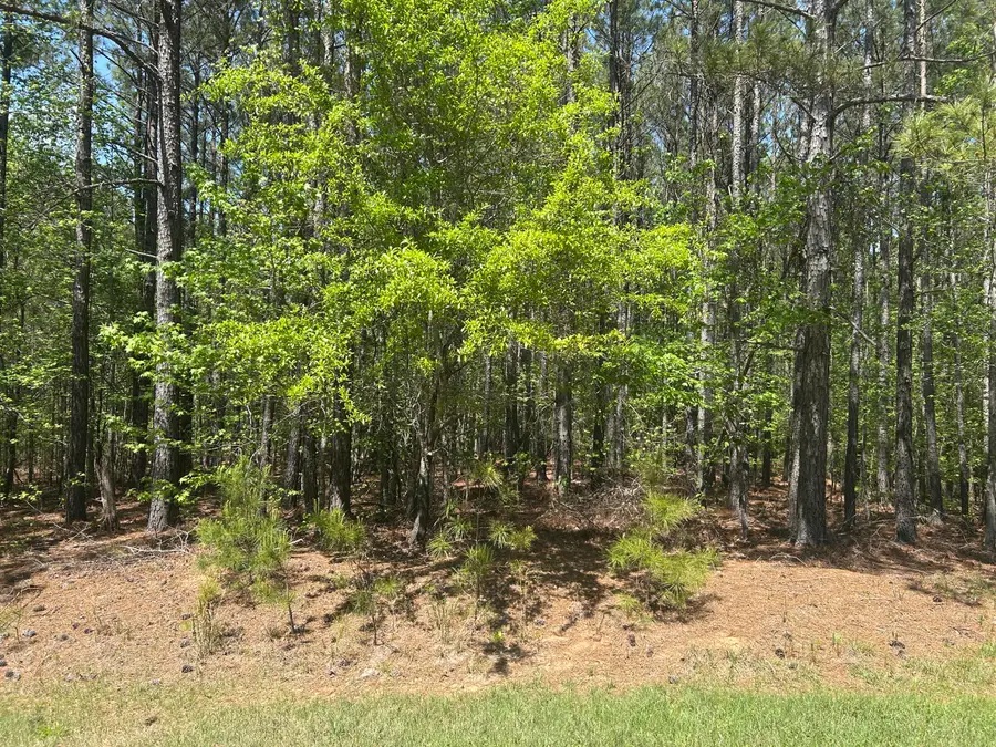 1153 Watersedge Cove, Tignall, GA 30668 - Image #3