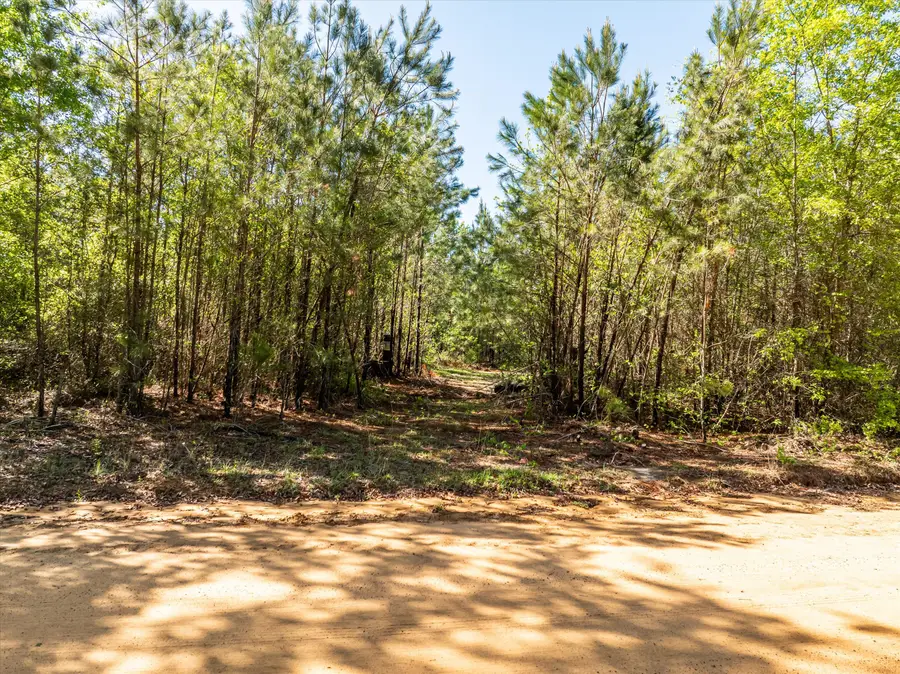 0 Whitaker Road, Dearing, GA 30808 - Image #2