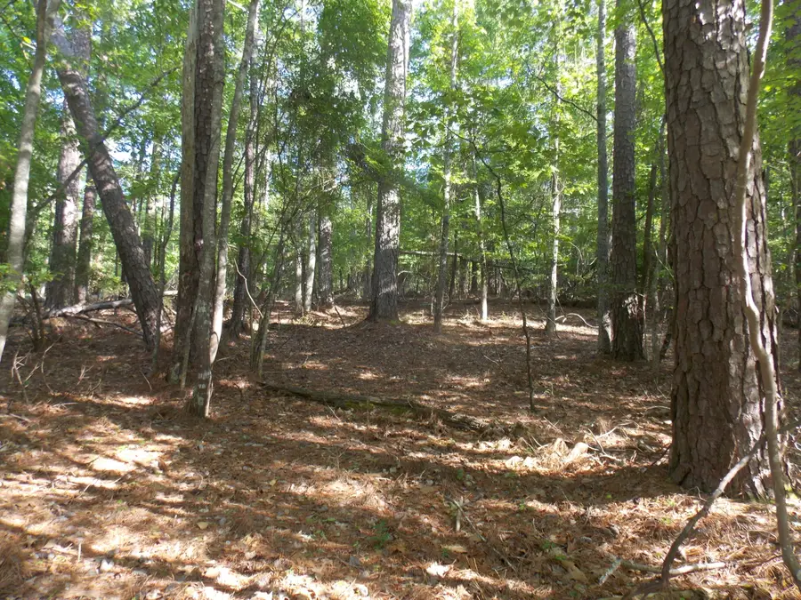 12 Riverview Court, Lincolnton, GA 30817 - Image #3