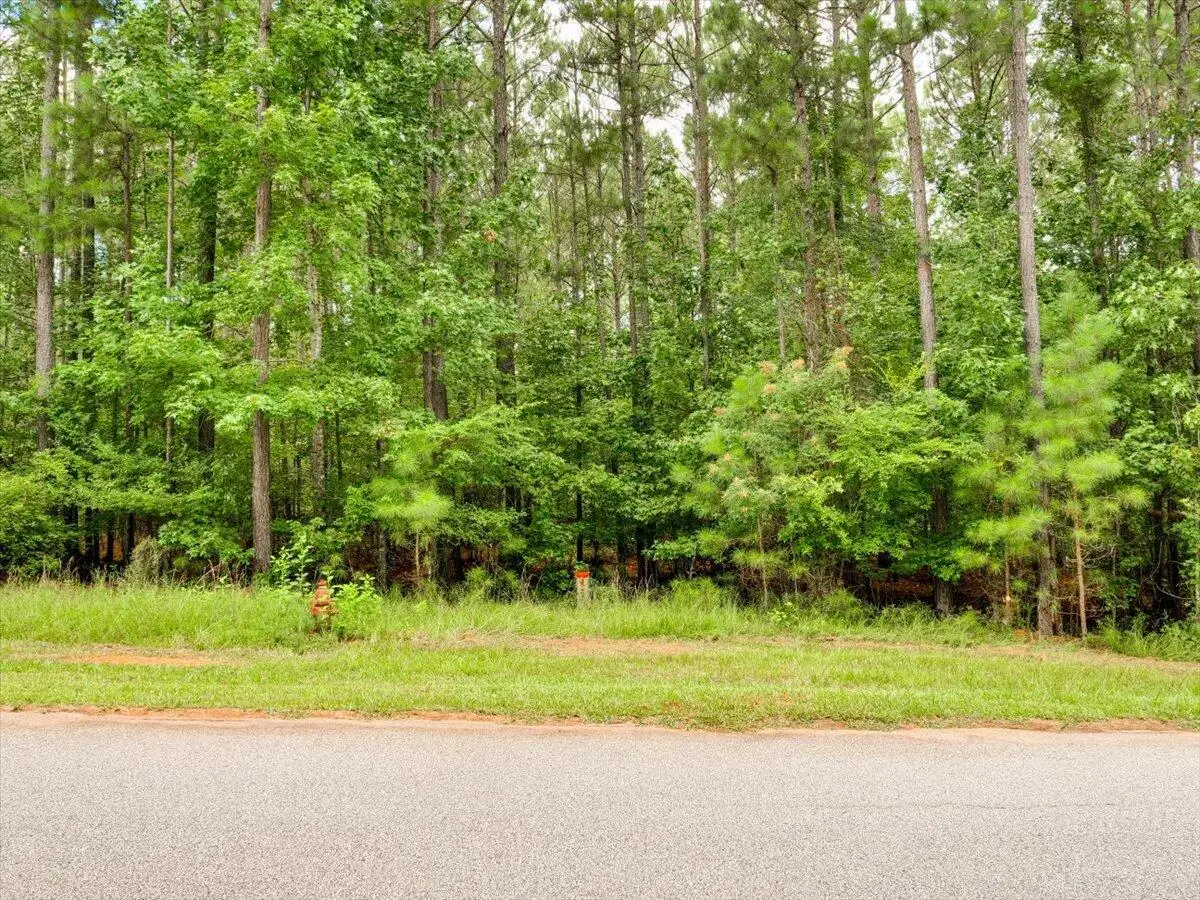 Lot 58 Lighthouse Pointe, Lincolnton, GA 30817 - Image #1