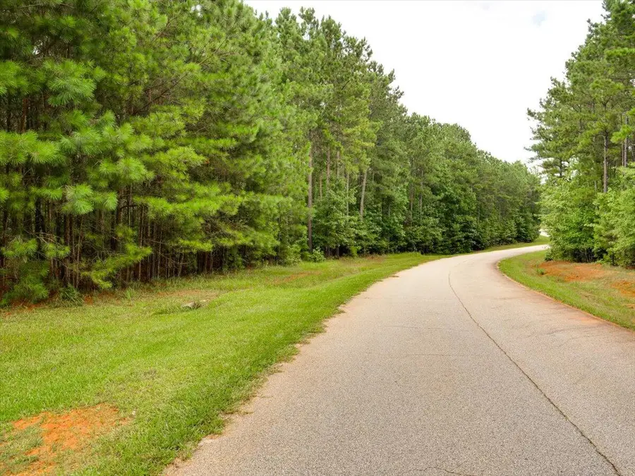 Lot 57 Lighthouse Pointe, Lincolnton, GA 30817 - Image #3