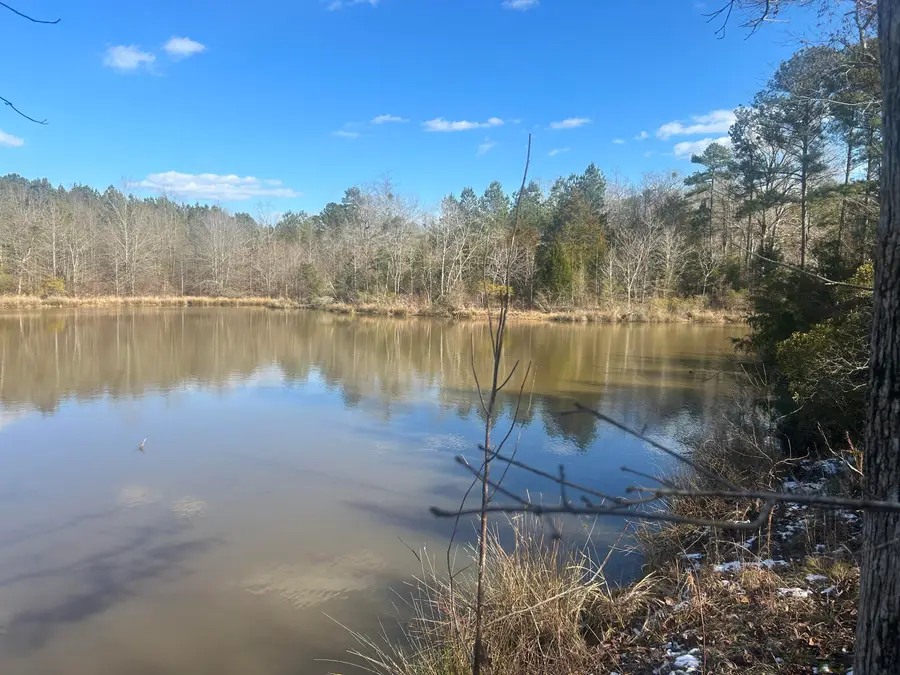 265 Lost Pond Lane, Appling, GA 30802 - Image #3