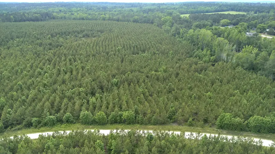 0 Moton Moore Road, McCormick, SC 29835 - Image #3