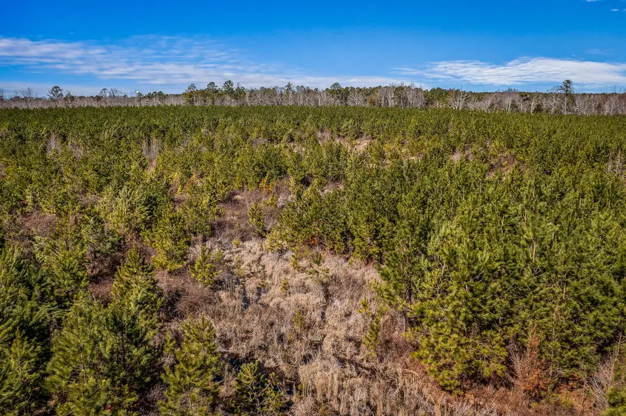 0 Moton Moore Rd Road, McCormick, SC 29835 - Image #3