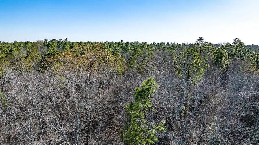 Lot 14 Bluffwood Road, Wagener, SC 29164 - Image #3