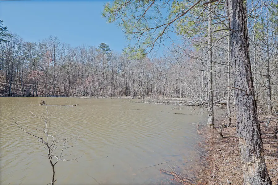 1021 S Pointe Ct, Tignall, GA 30668 - Image #3