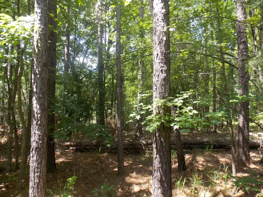 1054 Pine Point Lane, Tignall, GA 30668 - Image #3