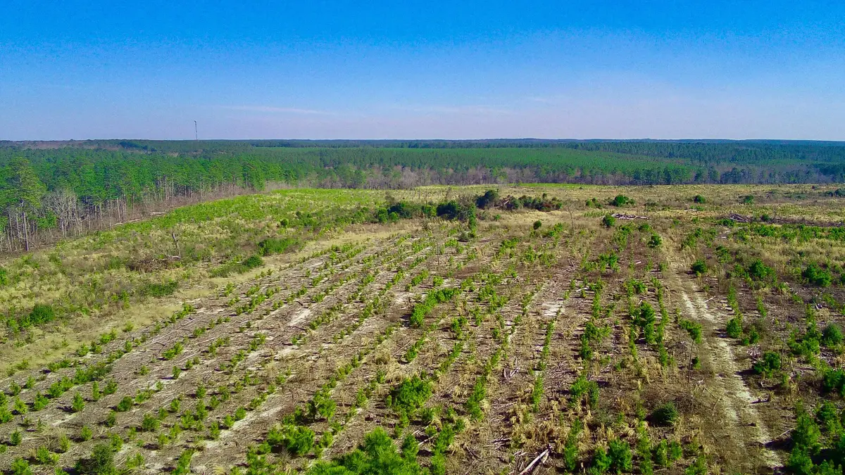 000 Three Notch Road, Monetta, SC 29105 - Image #1