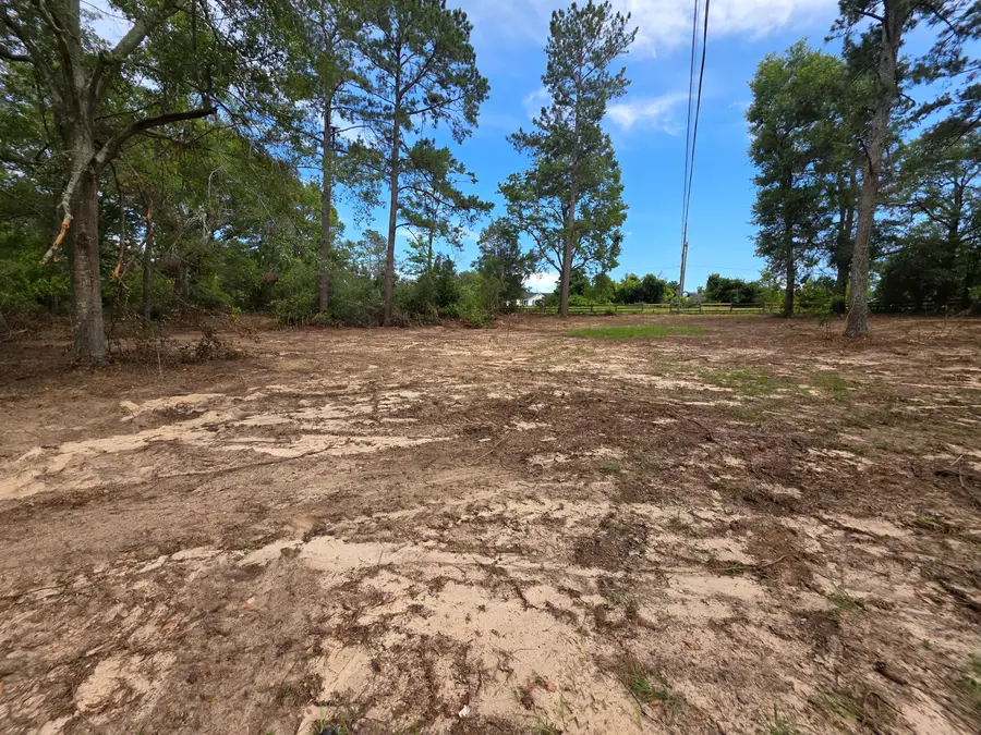 2039 Mcdade Farm Road, Hephzibah, GA 30815 - Image #3