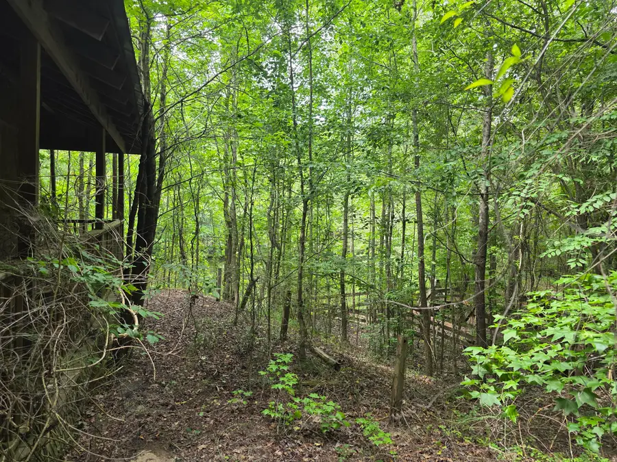 2031 Mcdade Road, Hephzibah, GA 30815 - Image #3