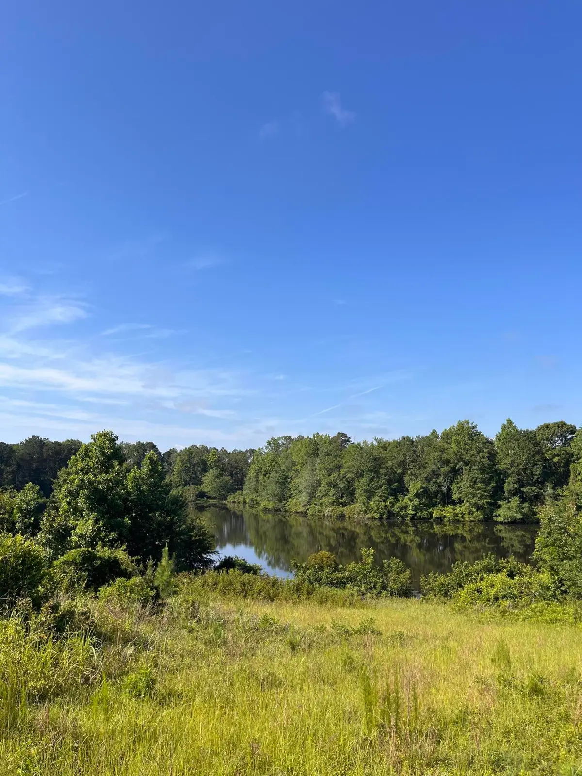 18 Billy Drive, Trenton, SC 29847 - Image #1