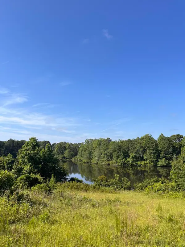 18 Billy Drive, Trenton, SC 29847