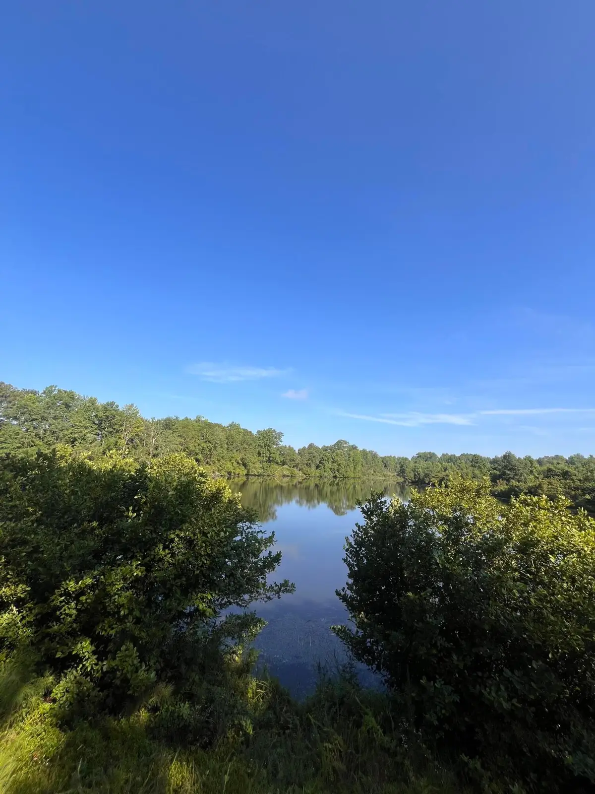 128 Paces Creek Road, Trenton, SC 29847 - Image #1