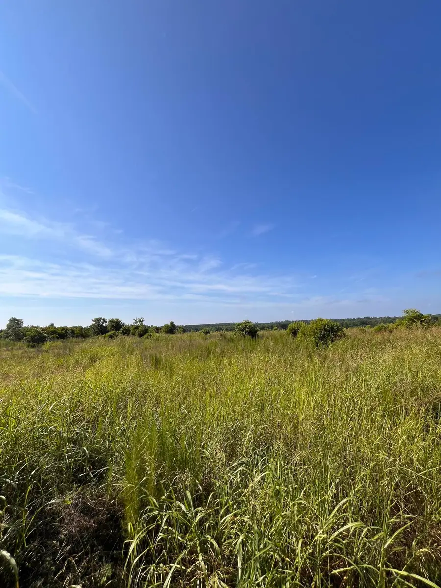 128 Paces Creek Road, Trenton, SC 29847 - Image #2