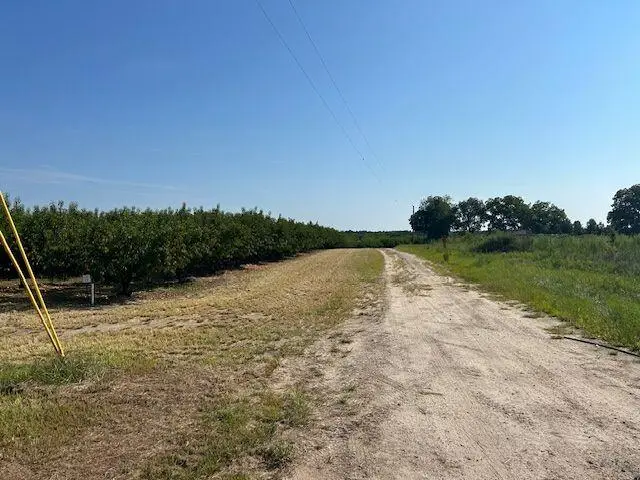 31 Parthinnia Lane, Trenton, SC 29847 - Image #1